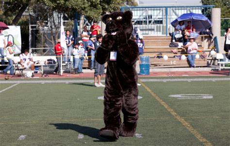 What Can Be Done to Prevent Similar Incidents from Occurring with Sports Mascots?